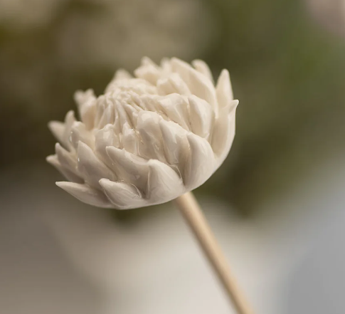 African Flower Diffuser Sticks