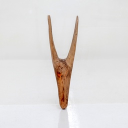 Bokkie Head Wall Sculpture