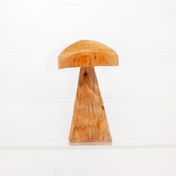 Eucalyptus Mushroom Sculpture